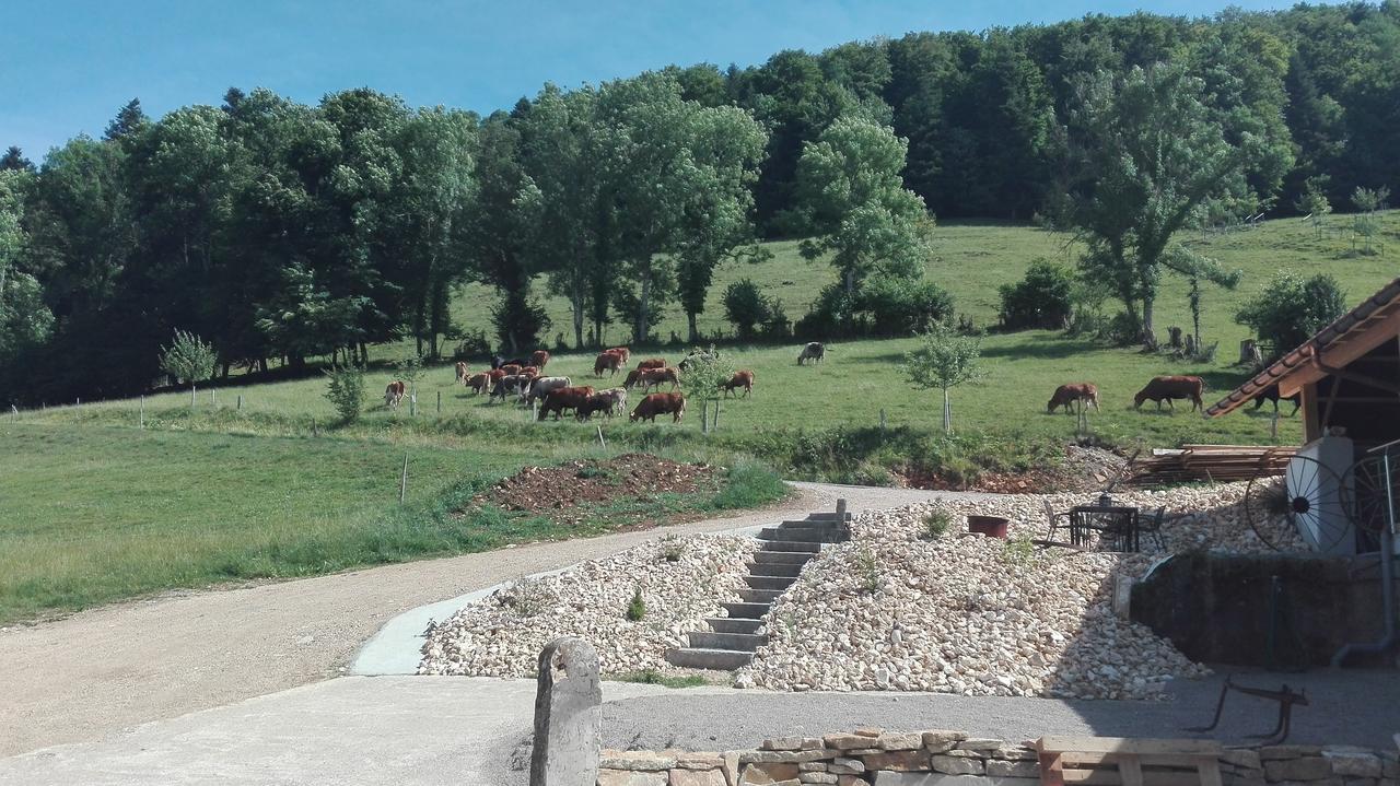 Appartement La Joux Chaupe à Saint-Ursanne Extérieur photo